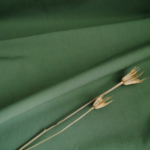 Load image into Gallery viewer, Soft organic cotton fabric displayed with gentle folds, with dried flower stems on top
