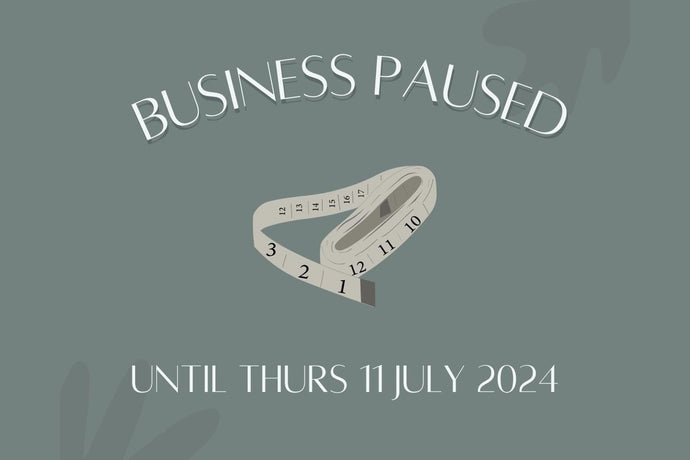 BUSINESS PAUSE TO 11 JULY 2024