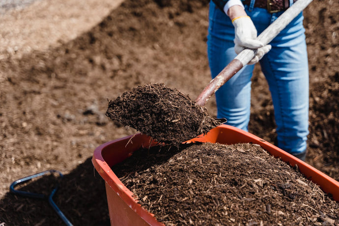 BIODEGRADABLE OR COMPOSTABLE - HOW LONG DOES IT TAKE?