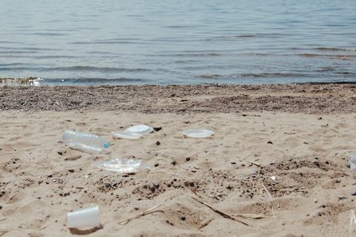 80% DROP IN PLASTIC BAGS