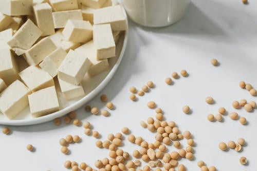 FABRIC MADE FROM SOYBEANS