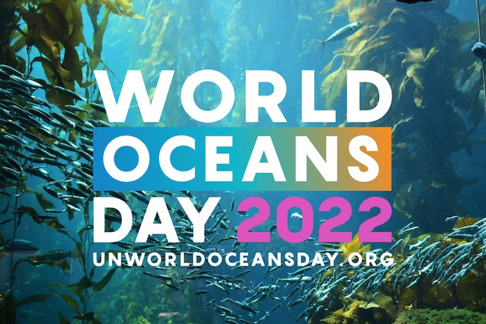 UNITED NATIONS WORLD OCEANS DAY 2022