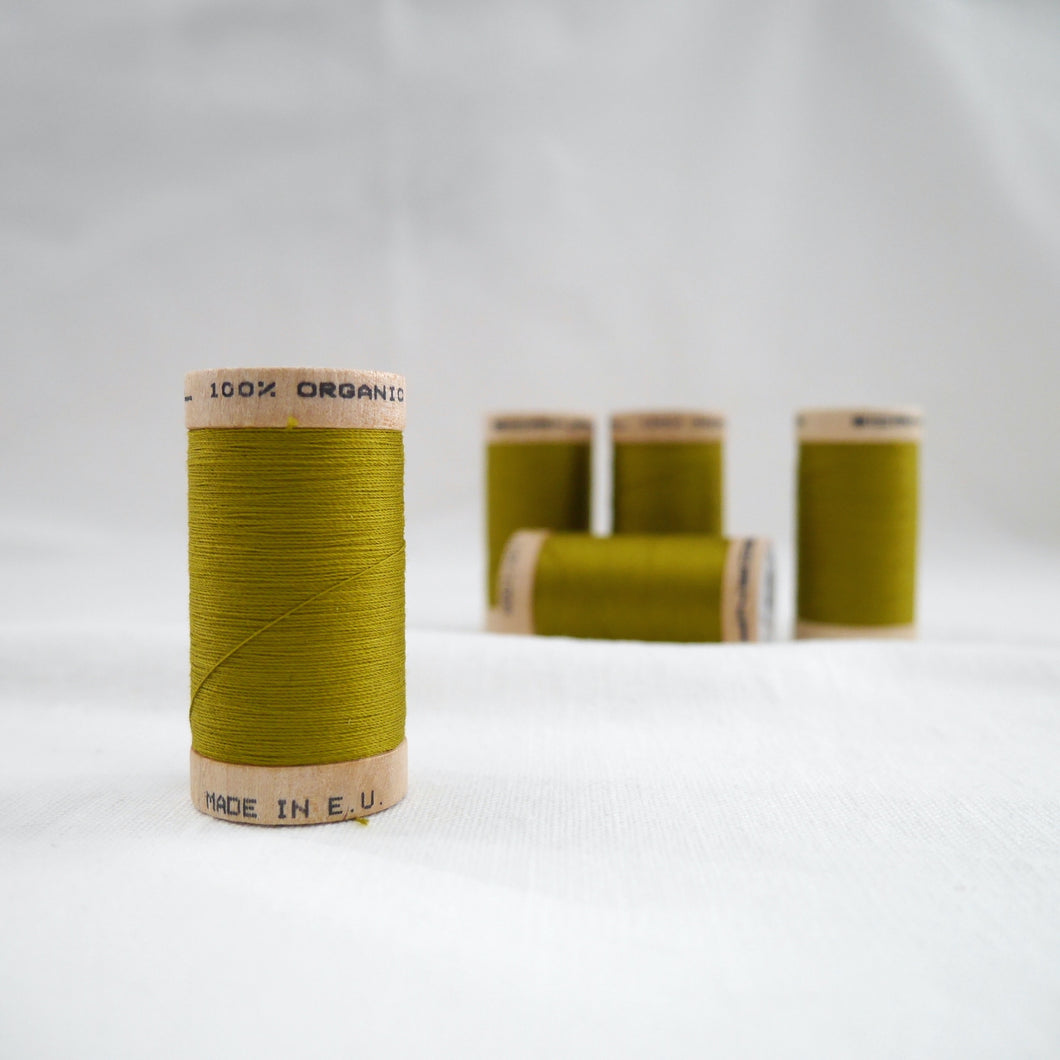 Five wooden reels of Scanfil Organic Cotton Thread in Celery